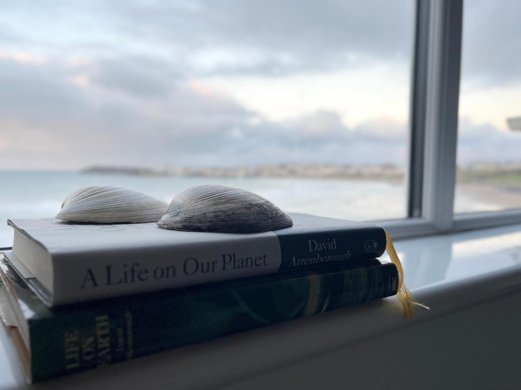Sound Of The Sea - Penthouse In Portrush Daire Dış mekan fotoğraf